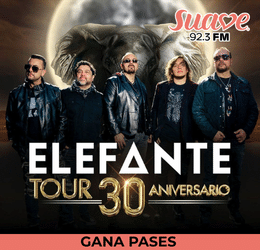 Elefante